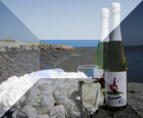 die beste musik für jeden Anlass mit DJ Tiwi auf Pellworm